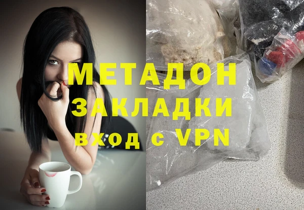 стаф Алексин