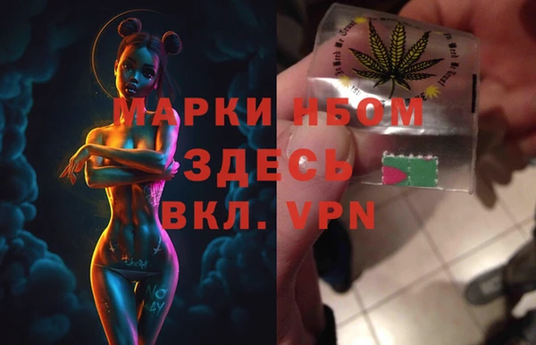 стаф Алексин