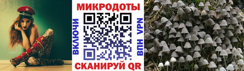 дарнет шоп  даркнет официальный сайт  Псилоцибиновые грибы прущие грибы  Копейск 